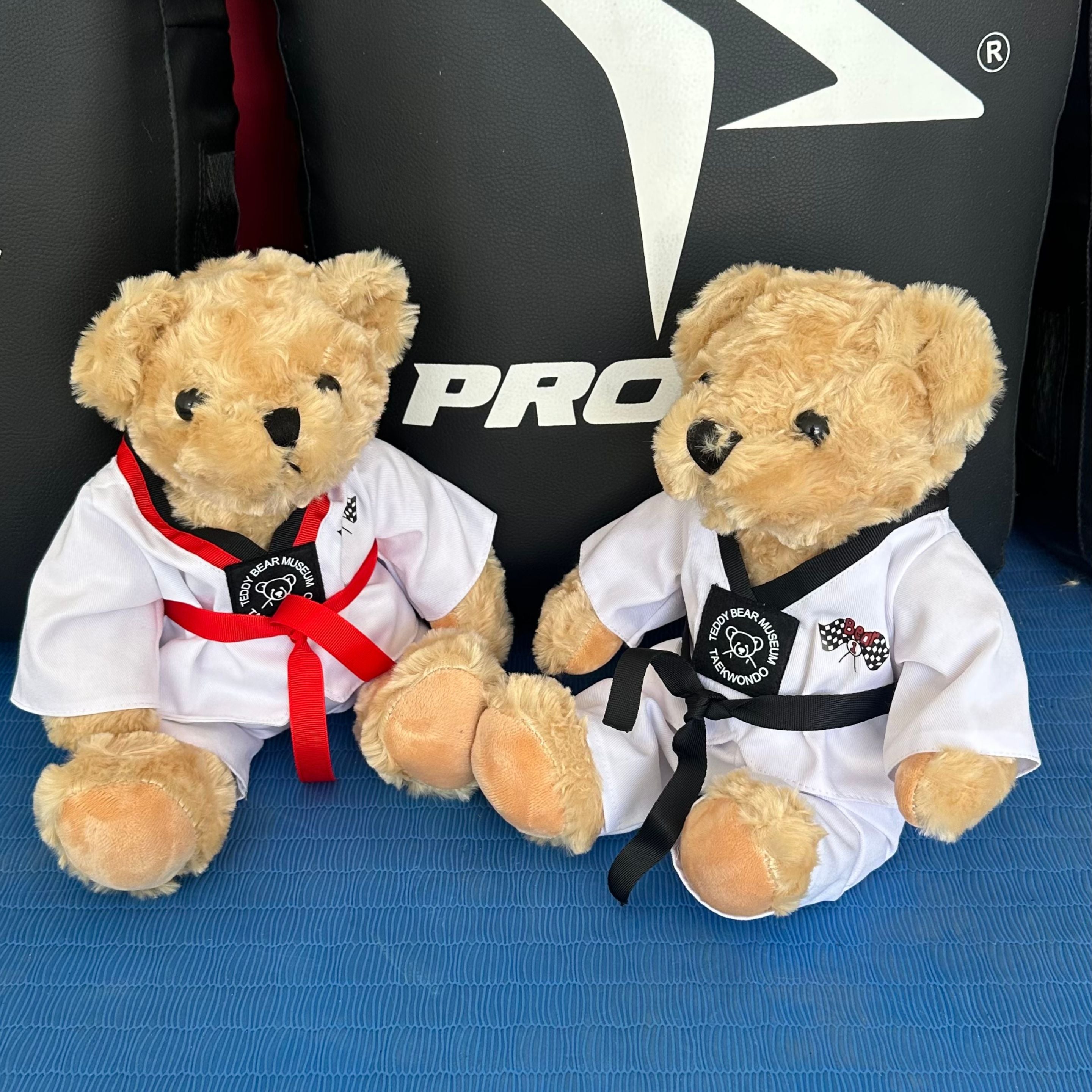 TEDDY BEAR CON CINTA