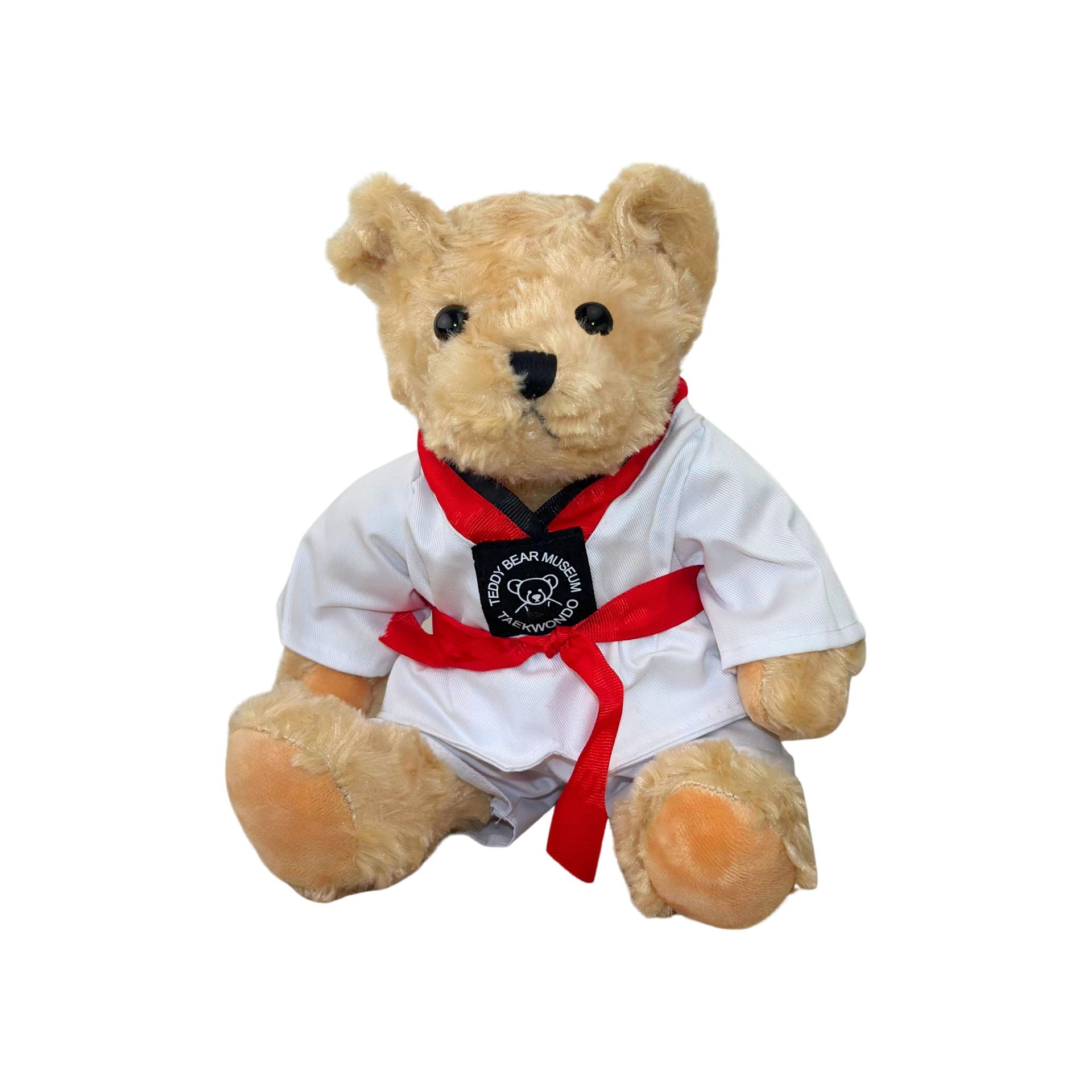 TEDDY BEAR CON CINTA